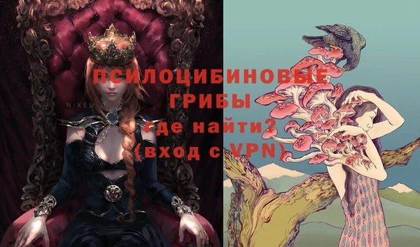 каннабис Белокуриха