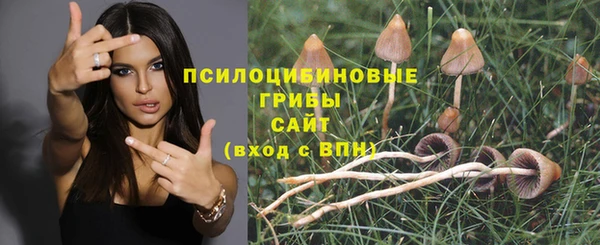 амф Беломорск