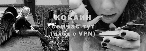 амф Беломорск
